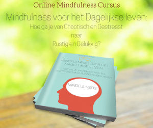 Mindfulness in Utrecht